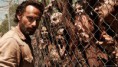 /album/fenykepgaleria/the-walking-dead-2014-hd-wallpaper-1-jpg/